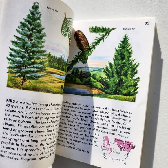 Trees Field Guide Plants botany Golden Guides St. Martin's Press BOOKSHARK - Picture 14 of 14
